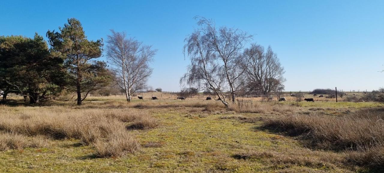 Schoene 54Qm 2 Zimmer Ferienwohnung 1-4 Personen An Der Kreptitzer Heide Auf Ruegen - Wandern Fahrradfahren Und Meer Dranske Exterior foto